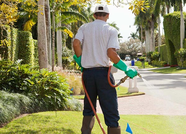 About Las Cruces NM Pest Control